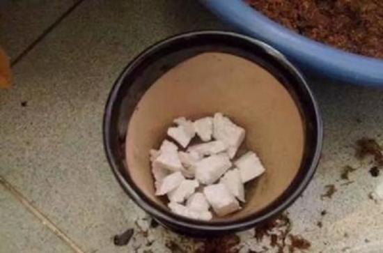 泡沫板碎片 养花技巧|如何让花不黄叶不烂根
