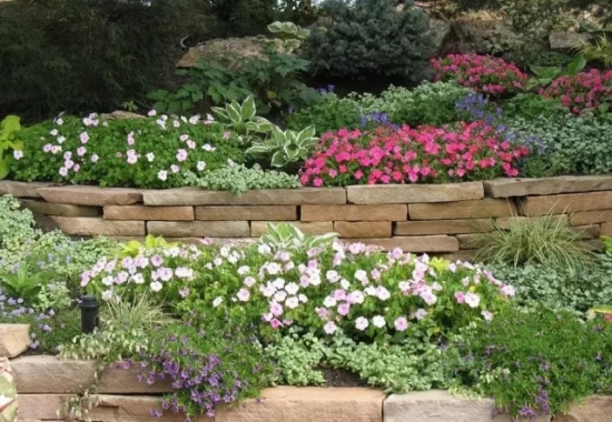 啤酒可以用来养花吗：啤酒中含有二氧化碳，是植物新陈代谢不可少的物质