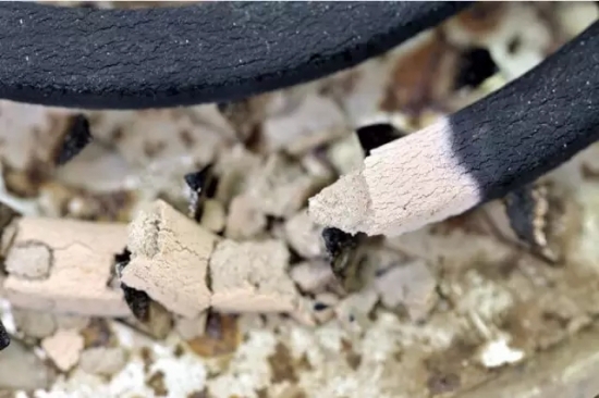 家庭废水（物）巧利用：废物回收利用小妙招