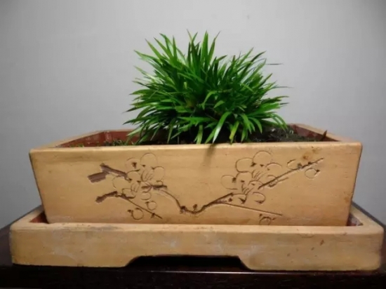 长期外出家中无人浇花如何办？