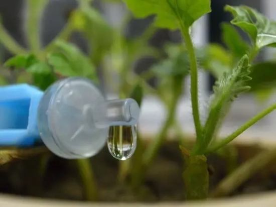 长期外出家中无人浇花如何办？