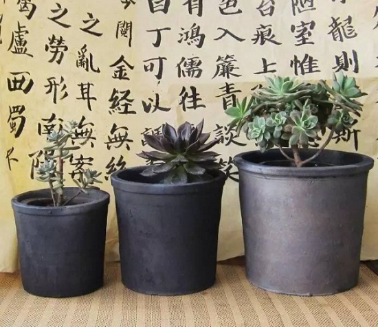 家庭养花如何正确的选择花盆