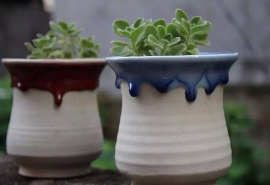 家庭养花如何正确的选择花盆