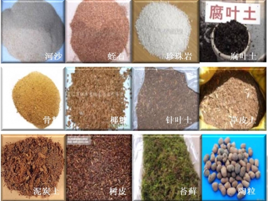各种各样的花土 什么土最适合养花:根据花卉的习性选择最佳的营养土
