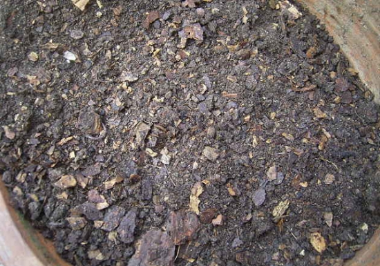 松针土适合养什么花 松针土适合养什么花:适合大多数花草,需和其他介质搭配使用