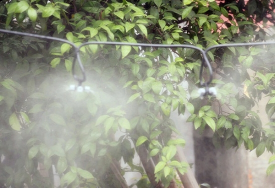 自来水浇花也不错 雪水可以用来浇花吗:雪水可以用来浇花而且对花还有益处