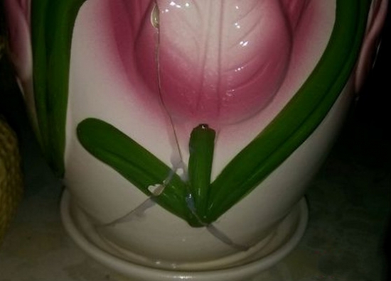 碎花盆的处理办法：原样修复，DIY做盆景