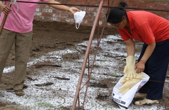 微波炉能给土壤消毒吗：可以，但不建议