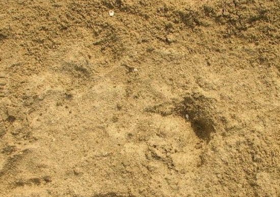 新手如何给多肉配土：按照自己的实际情况去配土