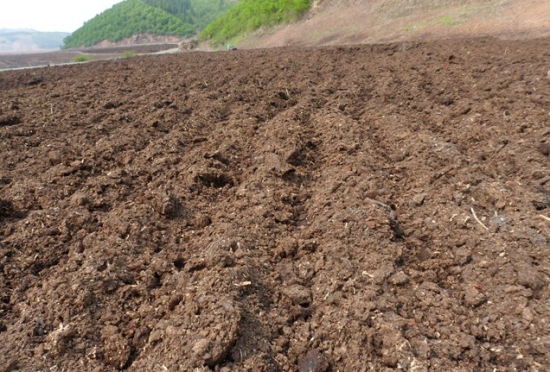 新手如何给多肉配土：按照自己的实际情况去配土
