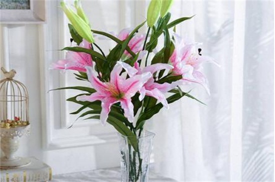 百合花插花瓶如何养