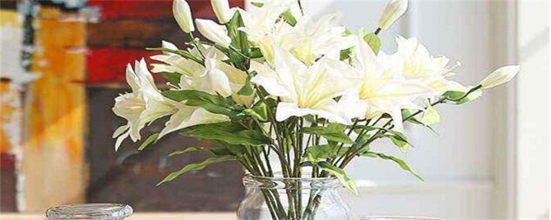 水养百合花留意事项