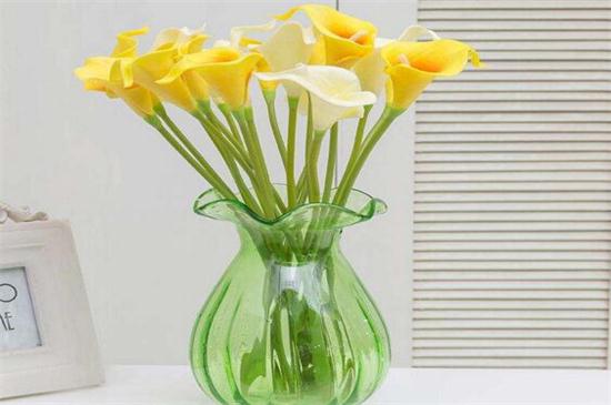 百合水养殖办法