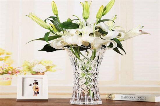 百合水养殖办法