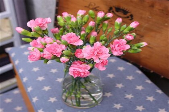 百合花多少钱一束，100元～200元不等