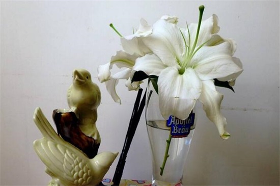 百合花如何插好看图片，6个步骤插出一瓶美丽百合花