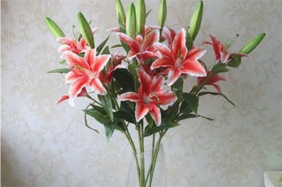 百合花如何插好看图片，6个步骤插出一瓶美丽百合花