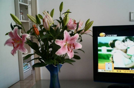 鲜花百合花如何养水里，3步插花/5个要点让花开更持久