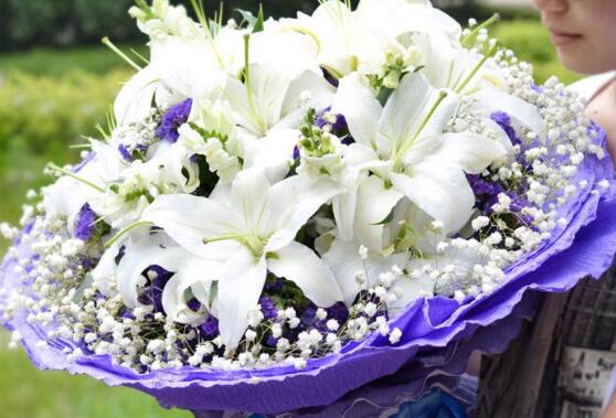 百合花语是什么,送百合花代表什么意思