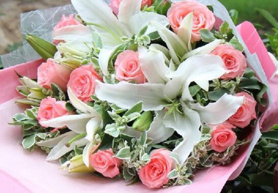 百合花语是什么,送百合花代表什么意思