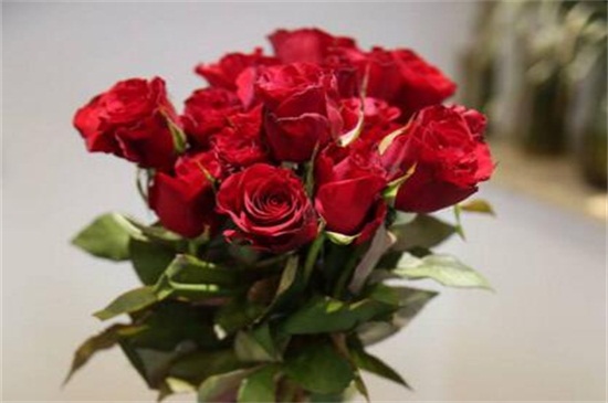 玫瑰花放家哪里风水好,可放客厅增加桃花