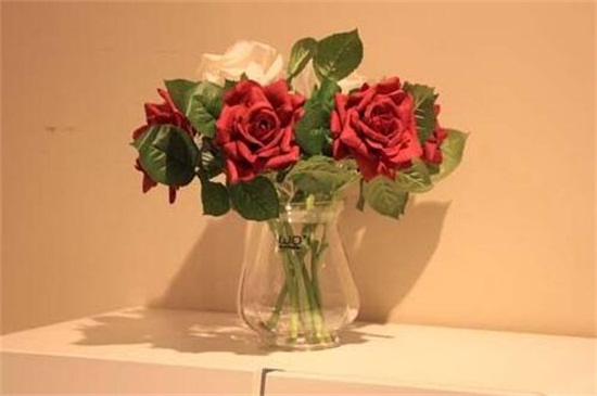 玫瑰花放家哪里风水好,可放客厅增加桃花