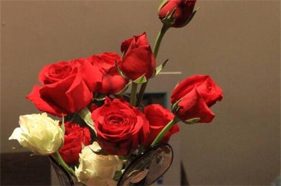 玫瑰花如何保存