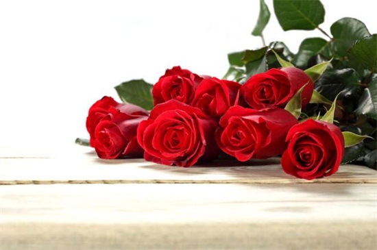 送玫瑰花朵数的含义,详解常见十种朵数含义