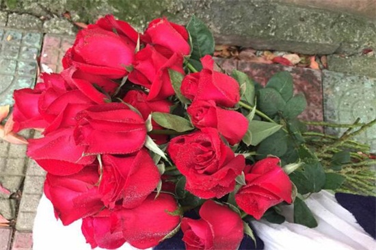 送玫瑰花朵数的含义,详解常见十种朵数含义