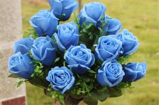 蓝色妖姬买来后如何养，正常插花/2种保存鲜花办法