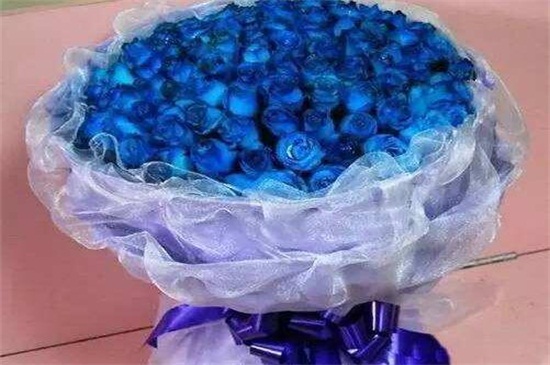 蓝色妖姬买来后如何养，正常插花/2种保存鲜花办法