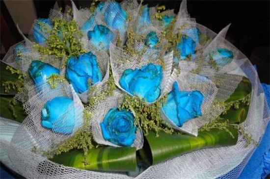 蓝色妖姬买来后如何养，正常插花/2种保存鲜花办法