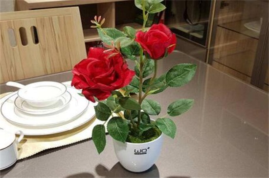 玫瑰花可以剪枝摘种植，剪枝两种摘种植办法