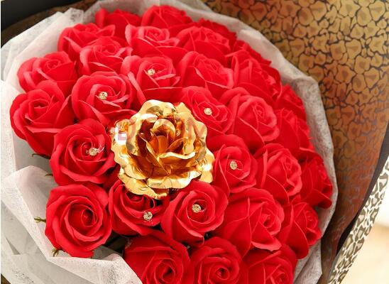 送的玫瑰花如何保存，扦插种植/插花瓶/制成干花