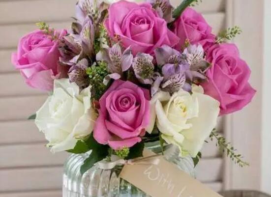 送的玫瑰花如何保存，扦插种植/插花瓶/制成干花