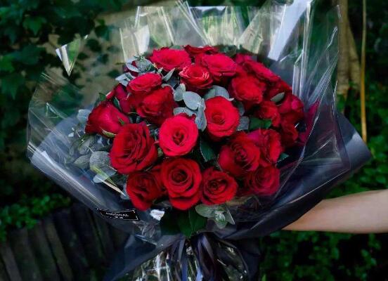 送的玫瑰花如何保存，扦插种植/插花瓶/制成干花