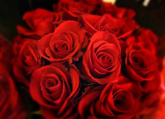 新鲜玫瑰花如何做干花，具体介绍2种干花制造办法