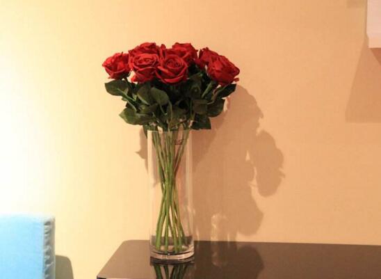 玫瑰花枝用水如何养,水养玫瑰花生根的办法