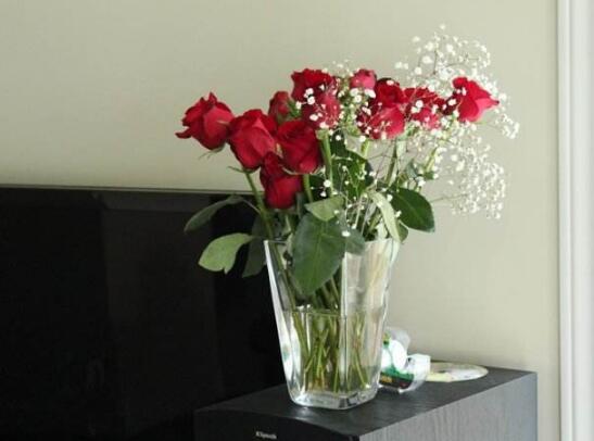 玫瑰花枝用水如何养,水养玫瑰花生根的办法