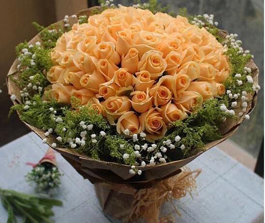 一大束玫瑰花如何保存，水插/风干(风干可保存2～3年)