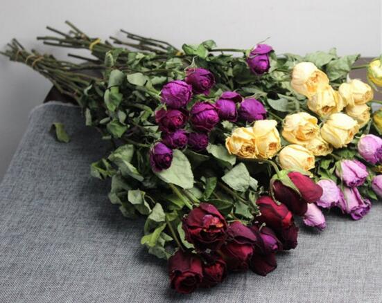 一大束玫瑰花如何保存，水插/风干(风干可保存2～3年)