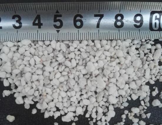 玫瑰花如何无土栽培，5个步骤手把手教你无土栽培玫瑰花