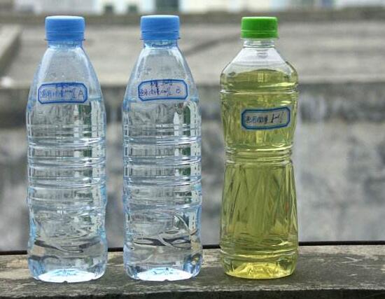 玫瑰花如何无土栽培，5个步骤手把手教你无土栽培玫瑰花