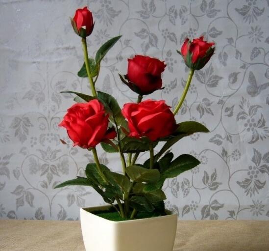 玫瑰花花期如何延长，适当施肥及时遮阴可延长至一个月