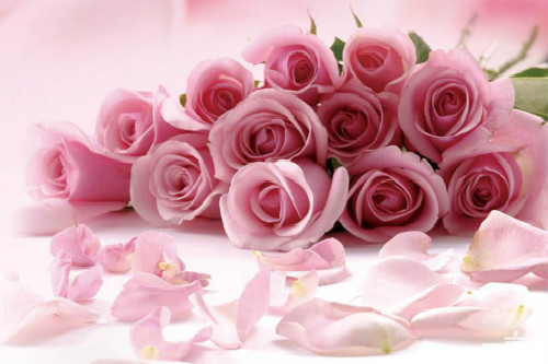 玫瑰花如何保存成干花，玫瑰花如何处理不浪费