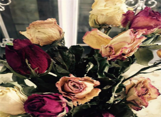 玫瑰花如何保存成干花，玫瑰花如何处理不浪费