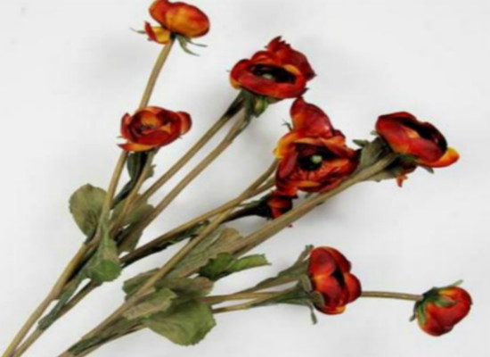 玫瑰花如何保存成干花，玫瑰花如何处理不浪费