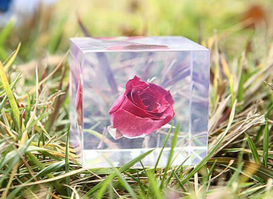 玫瑰花如何保存成干花，玫瑰花如何处理不浪费