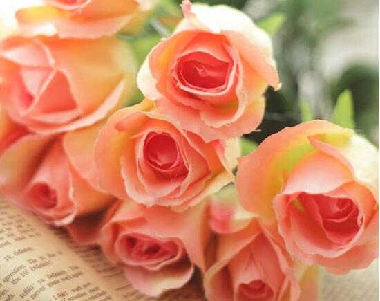 玫瑰花如何保存成干花，玫瑰花如何处理不浪费