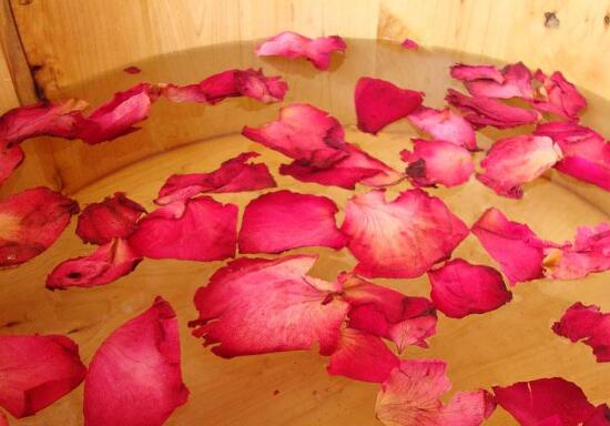 盆栽玫瑰枯萎了如何办，枯萎的玫瑰花如何处理(煮粥/泡澡)